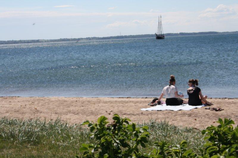 Hotel Rosenvold Strand Camping Stouby Esterno foto